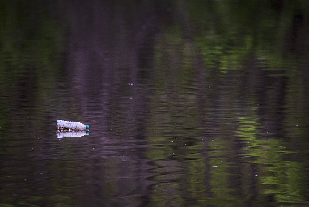 A discarded plastic bottle floats in the Anacostia River in April 2020, near Bladensburg, Maryland. (CNS/Chaz Muth) A discarded plastic bottle floats in the Anacostia River in April 2020, near Bladensburg, Maryland. (CNS/Chaz Muth)