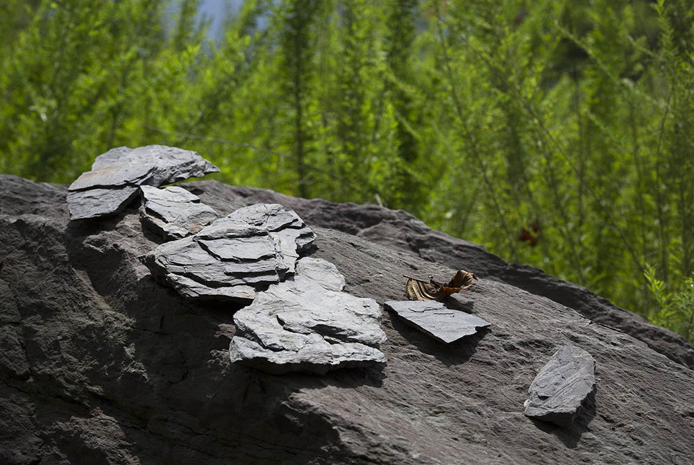 Rock near Kayford Mountain south of Charleston, West Virginia, as seen Aug. 19, 2014. The Catholic Committee of Appalachia, a membership-based organization, has served Appalachia, the poor and creation since 1970. (CNS/Tyler Orsburn) Rock near Kayford Mountain south of Charleston, West Virginia, as seen Aug. 19, 2014. The Catholic Committee of Appalachia, a membership-based organization, has served Appalachia, the poor and creation since 1970. (CNS/Tyler Orsburn)