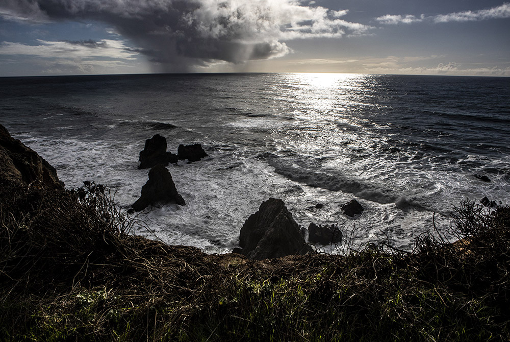 Views of the Pacific Ocean can been seen at Sonoma Coast State Park in Bodega Bay, California, in this Jan. 28 photo. (CNS/Chaz Muth) Views of the Pacific Ocean can been seen at Sonoma Coast State Park in Bodega Bay, California, in this Jan. 28 photo. (CNS/Chaz Muth)