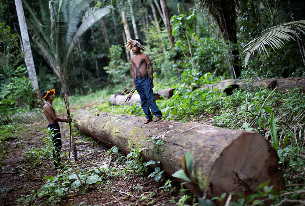 An Indigenous man and child of the Uru-eu-wau-wau tribe are pictured in a 2019 photo inspecting an area deforested by invaders on Indigenous land near Campo Novo de Rondônia, Brazil. (CNS/Reuters/Ueslei Marcelino) An Indigenous man and child of the Uru-eu-wau-wau tribe are pictured in a 2019 photo inspecting an area deforested by invaders on Indigenous land near Campo Novo de Rondônia, Brazil. (CNS/Reuters/Ueslei Marcelino)