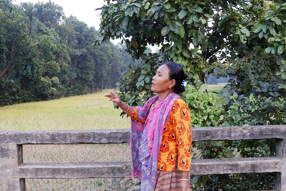 A Garo Indigenous woman from Madhupur, Bangladesh, shows the site selected for an artificial lake. (Stephan Uttom Rozario)