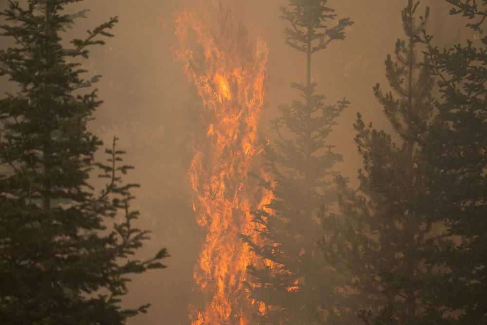 The Bootleg Fire burns through vegetation near Paisley, Ore., July 20, 2021. The Bootleg Fire burns through vegetation near Paisley, Ore., July 20, 2021.