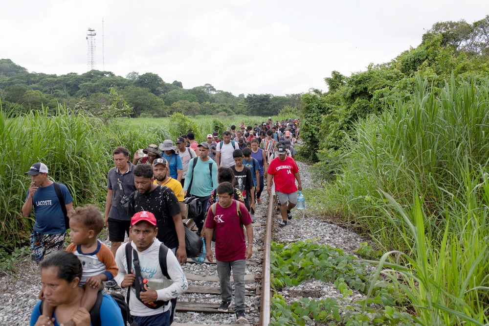Migrants walking, Sayula de Aleman, Mexico, Aug. 22, 2024. Long line of people walks down track surrounded by tallgrass.