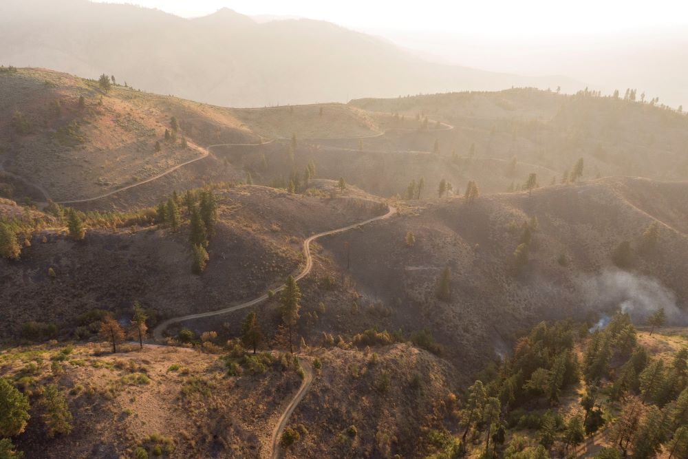 A view shows burned vegetation near Wenatchee, Wash., July 24, 2021, after the Red Apple Fire. A view shows burned vegetation near Wenatchee, Wash., July 24, 2021, after the Red Apple Fire.