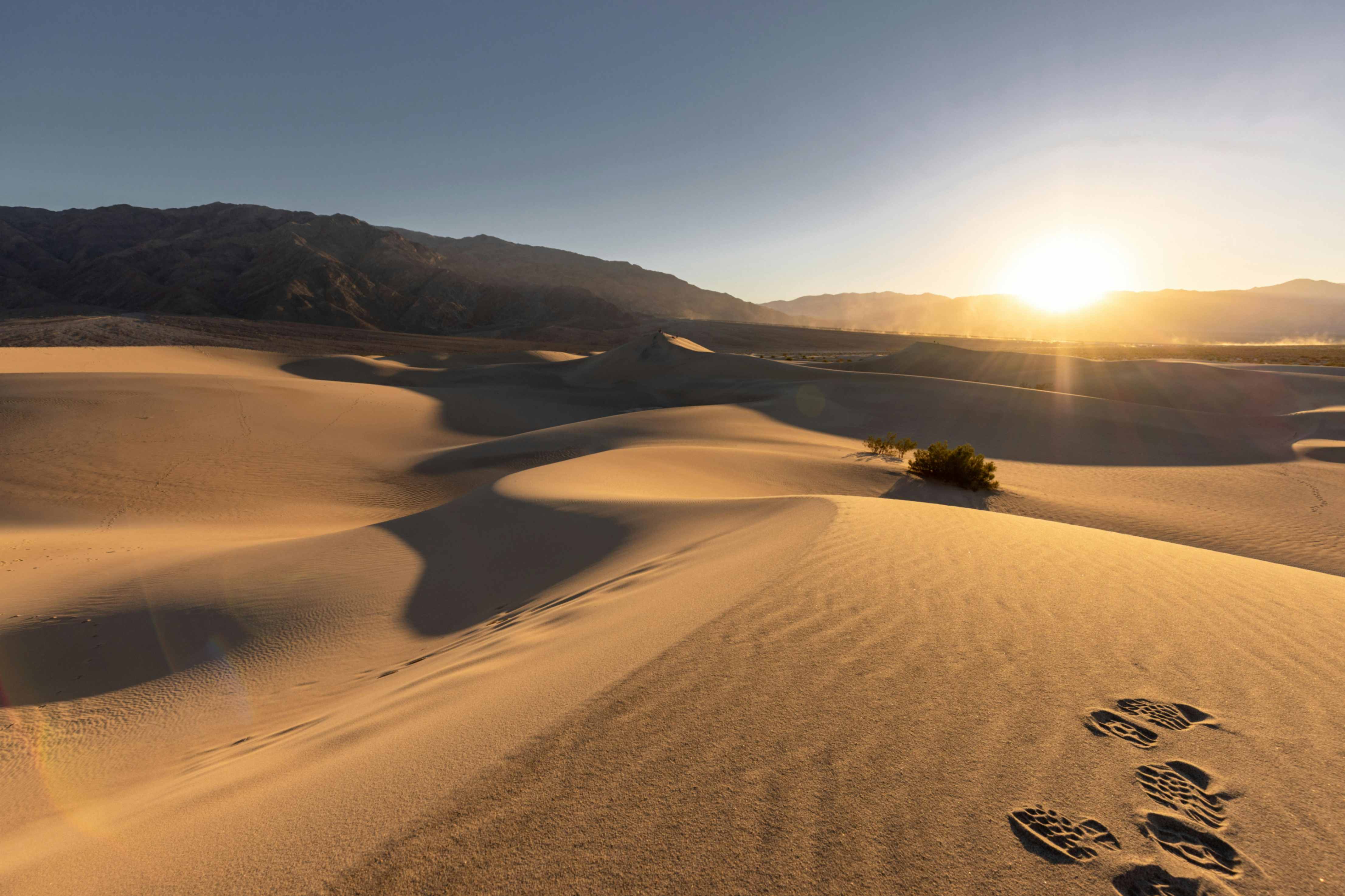 Desierto pisadas (Foto: Pexels/Angélica Reyn)