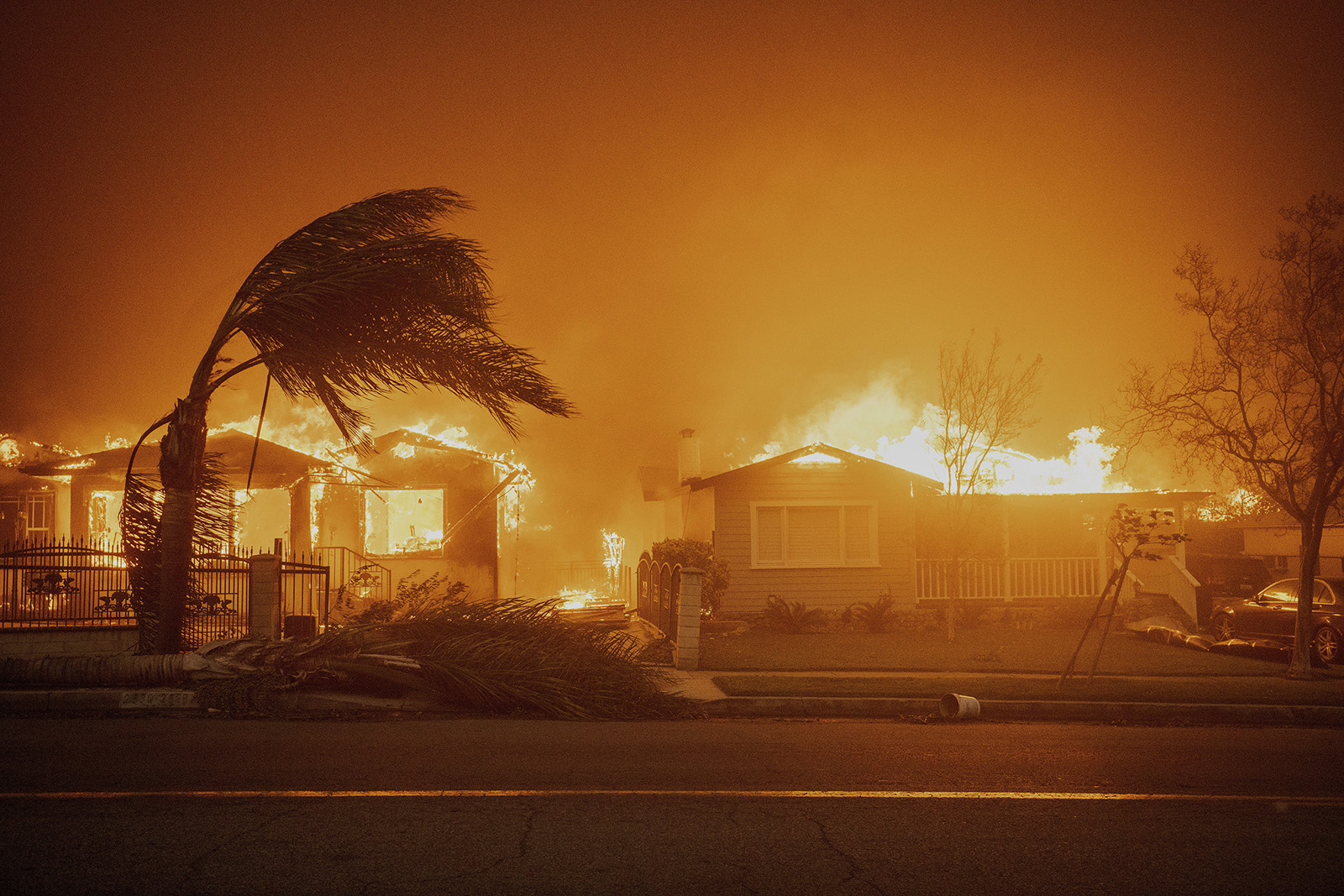 Los Angeles fires, Jan. 8, 2025. Burning house and trees.