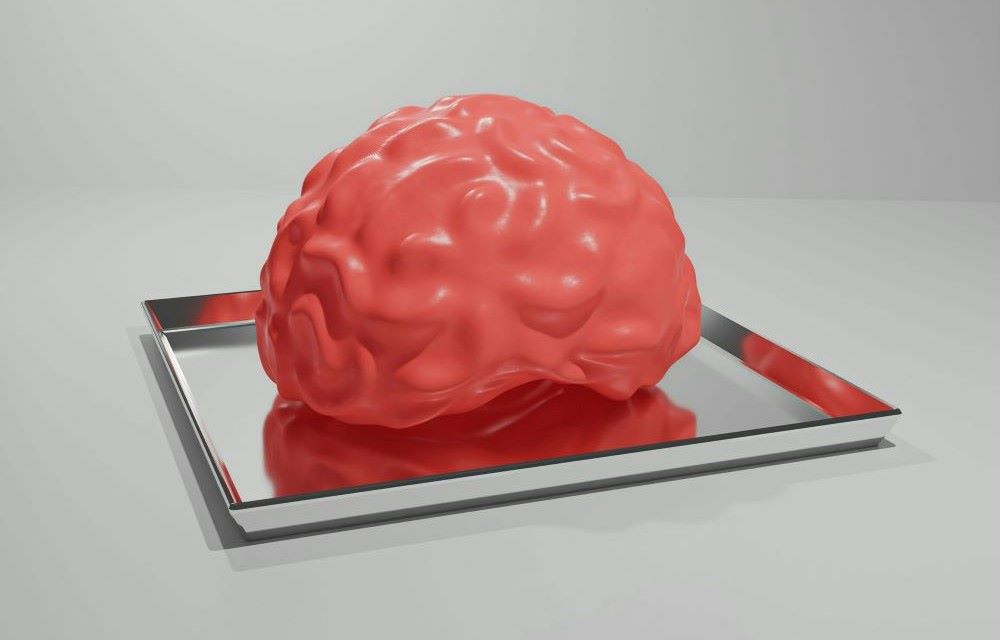 illustration of human brain illustration of human brain