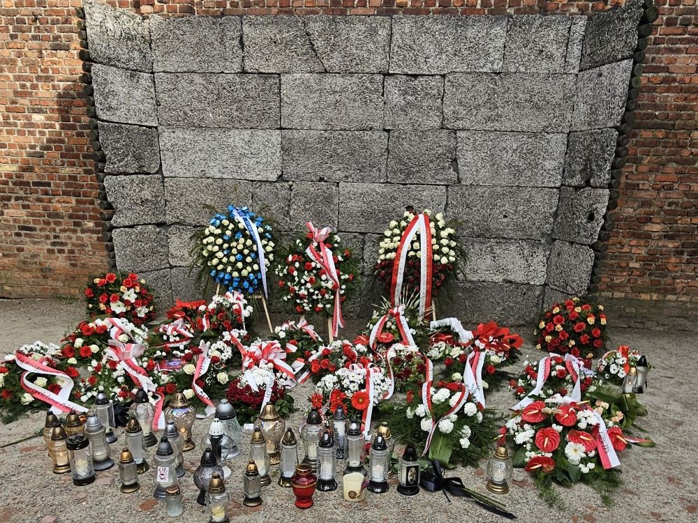 Thousands of victims were shot to death at the execution wall at Auschwitz. 