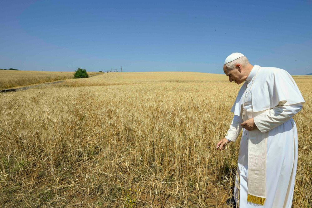 Pope Leo XIV visits a field where the Vatican is studying setting up a solar farm on land surrounding the Vatican Radio shortwave transmission center at Santa Maria di Galeria outside of Rome June 19, 2025. (CNS/Vatican Media) Pope Leo XIV visits a field where the Vatican is studying setting up a solar farm on land surrounding the Vatican Radio shortwave transmission center at Santa Maria di Galeria outside of Rome June 19, 2025. (CNS/Vatican Media)