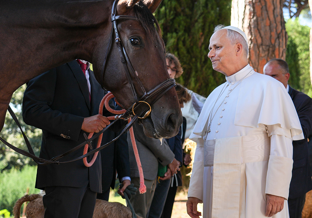 Pope Leo XIV looks at a horse as he greets farm workers in the papal gardens in Castel Gandolfo, Italy, Sept. 5, 2025. The pope inaugurated Borgo Laudato Si' the same day, officially opening the historic papal residence as a center dedicated to the principles of care for creation and human dignity outlined in Pope Francis' encyclical Laudato Si'. (CNS/Lola Gomez)