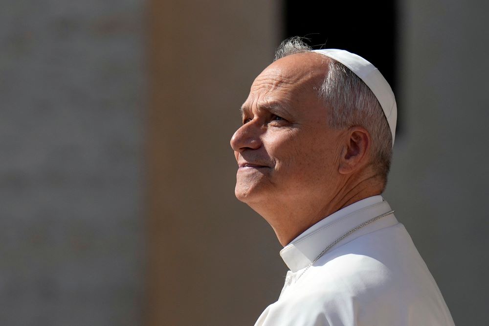 Pope Leo Pope Leo