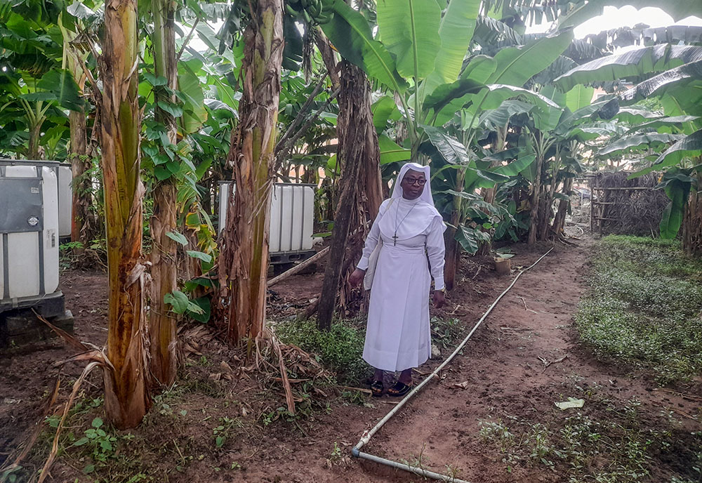 Sr. Maria Obiomachukwu Osuji walks through the farm as she inspects crops cultivated by the Sisters of the Immaculate Heart of Mary, Mother of Christ, in Aba, Nigeria. (GSR photo/John Chukhu)