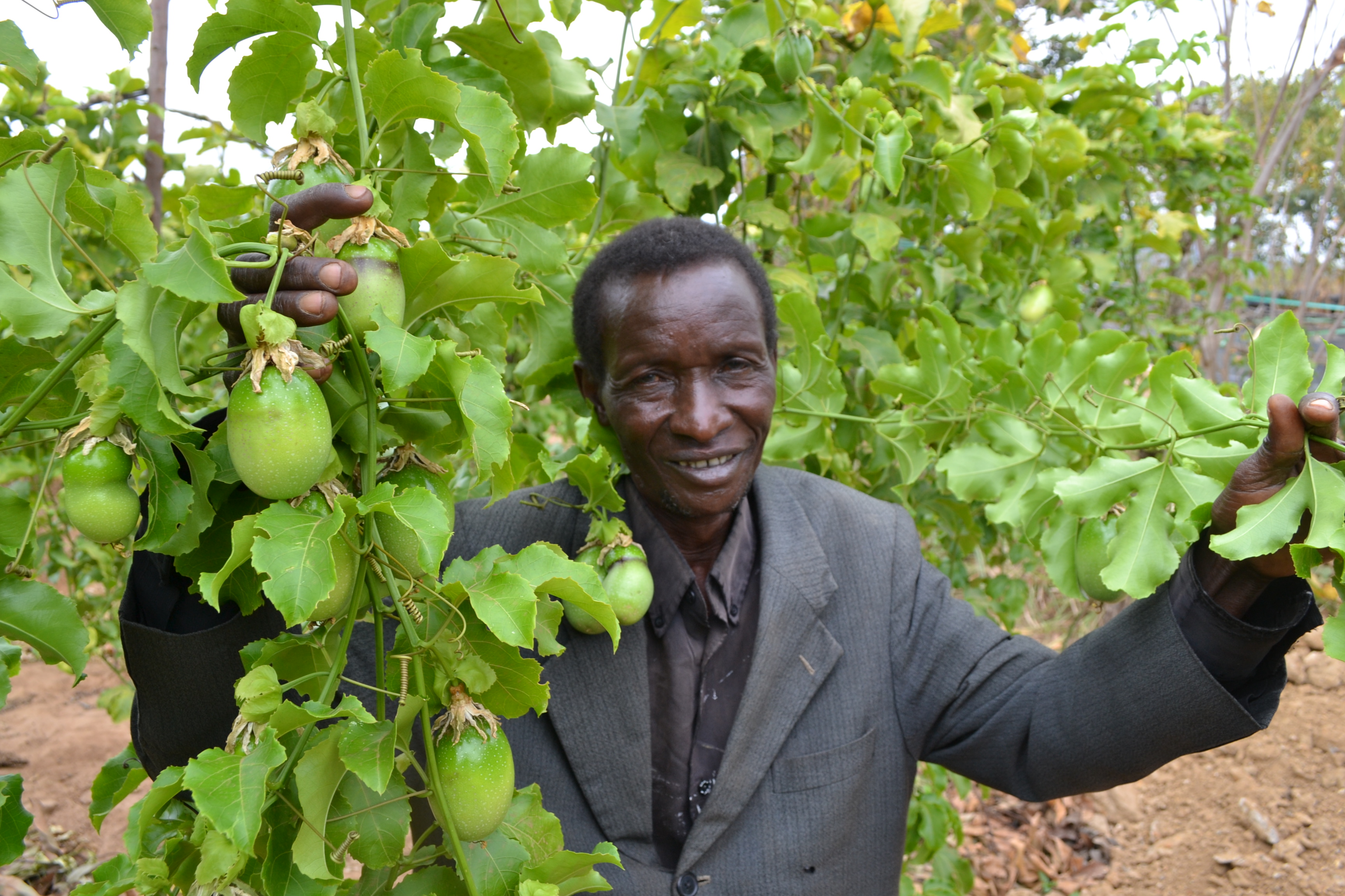 A farmer stands among crops. 