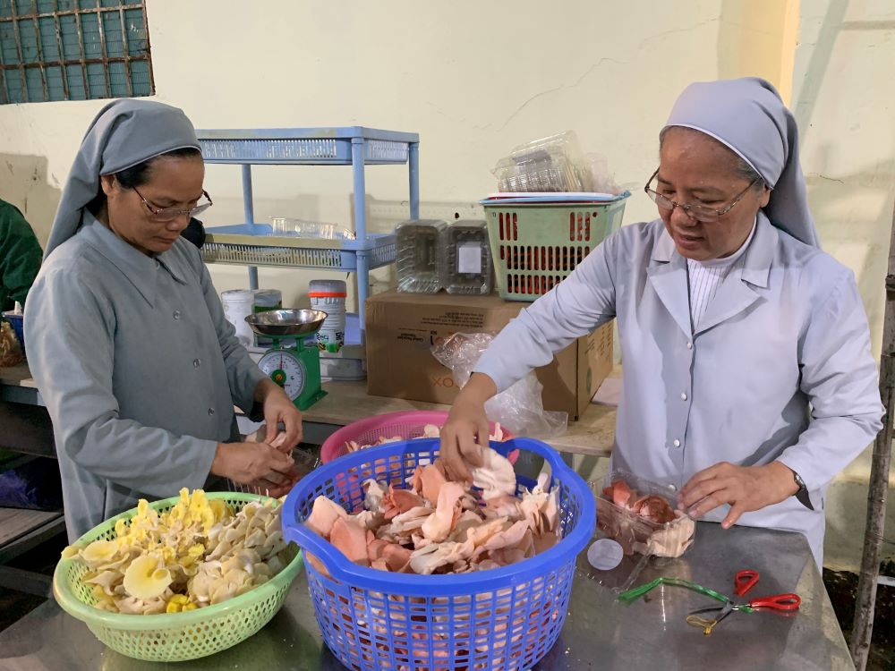 St. Paul de Chartres Srs. Marie Nguyen Thi Minh Hoa (left) and Agathe Tran Thi Mong Huyen pack mushrooms in boxes to deliver to customers. They grow five varieties of organic mushrooms, including abalone and reishi. (Mary Nguyen)