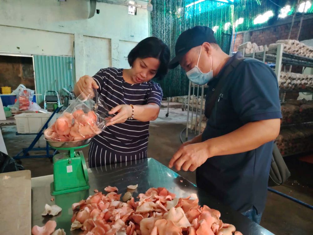 Maria Kieu Thi Thu Ha (left) and another customer buy mushrooms from the St. Paul de Chartres nuns in Ho Chi Minh City, Vietnam. Sales support scholarships for students preschool through university in five dioceses. (Mary Nguyen)
