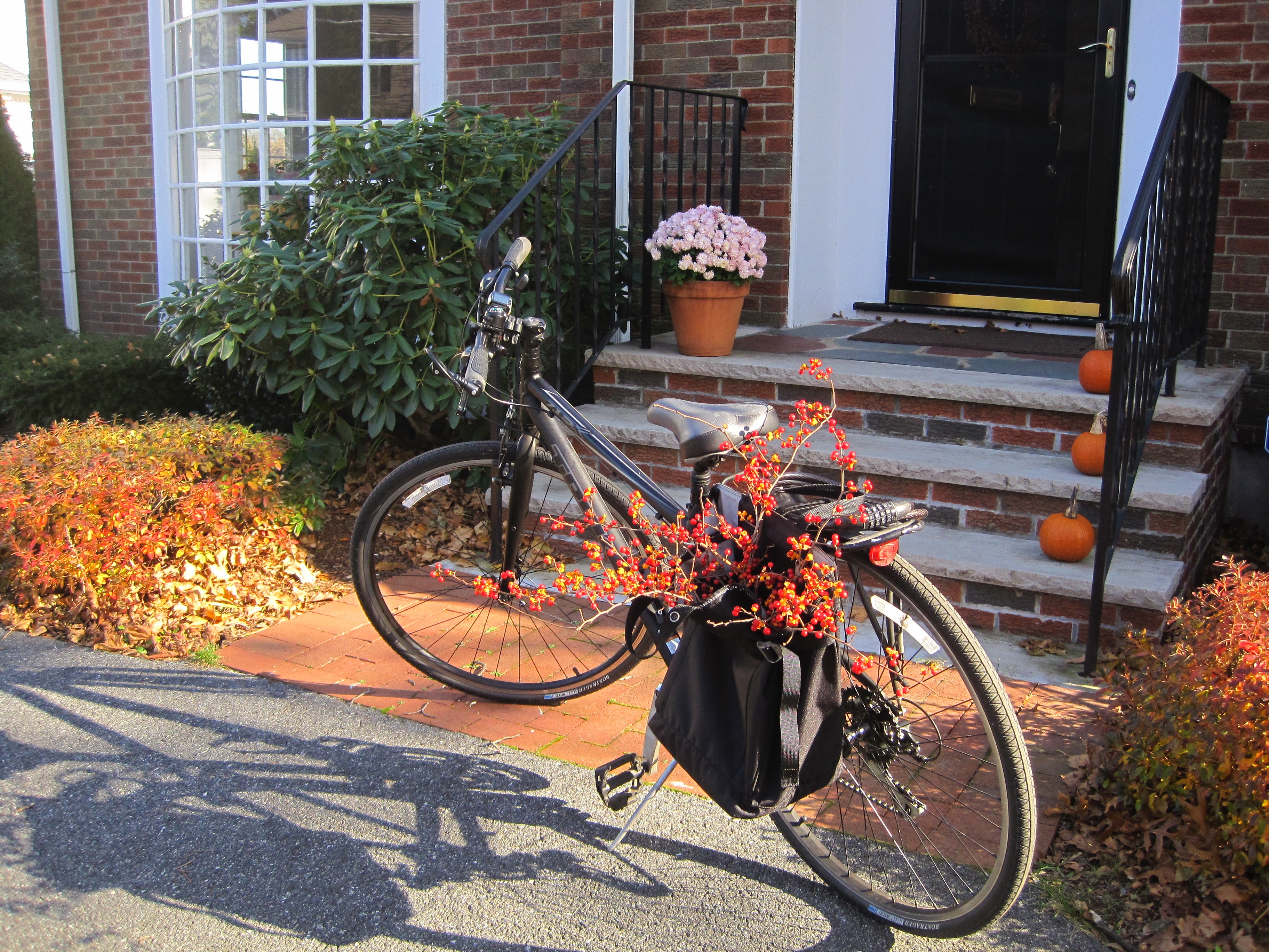 bicycle bicycle