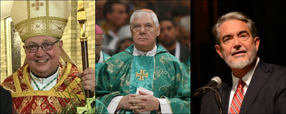 Scheduled speakers for the Napa Institute's "Authentic Reform" conference include (from left): Bishop Robert Morlino, Cardinal Gerhard Müller and Scott Hahn. (CNS photos) Scheduled speakers for the Napa Institute's "Authentic Reform" conference include (from left): Bishop Robert Morlino, Cardinal Gerhard Müller and Scott Hahn. (CNS photos)