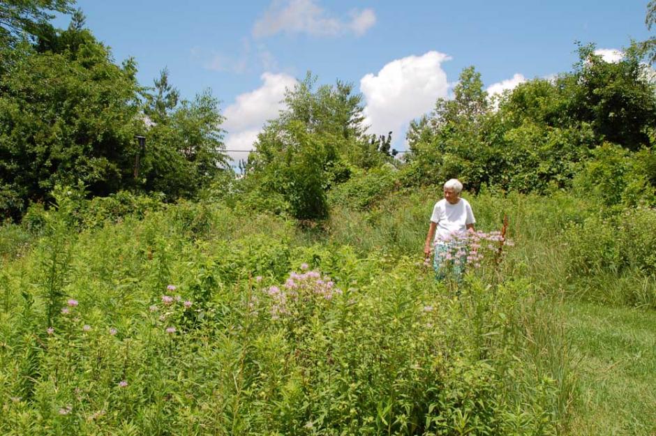 Adrian Dominican Sr. Carol Coston walks through the community's permaculture site, which is designed to put agriculture in harmony with nature. Adrian Dominican Sr. Carol Coston walks through the community's permaculture site, which is designed to put agriculture in harmony with nature.