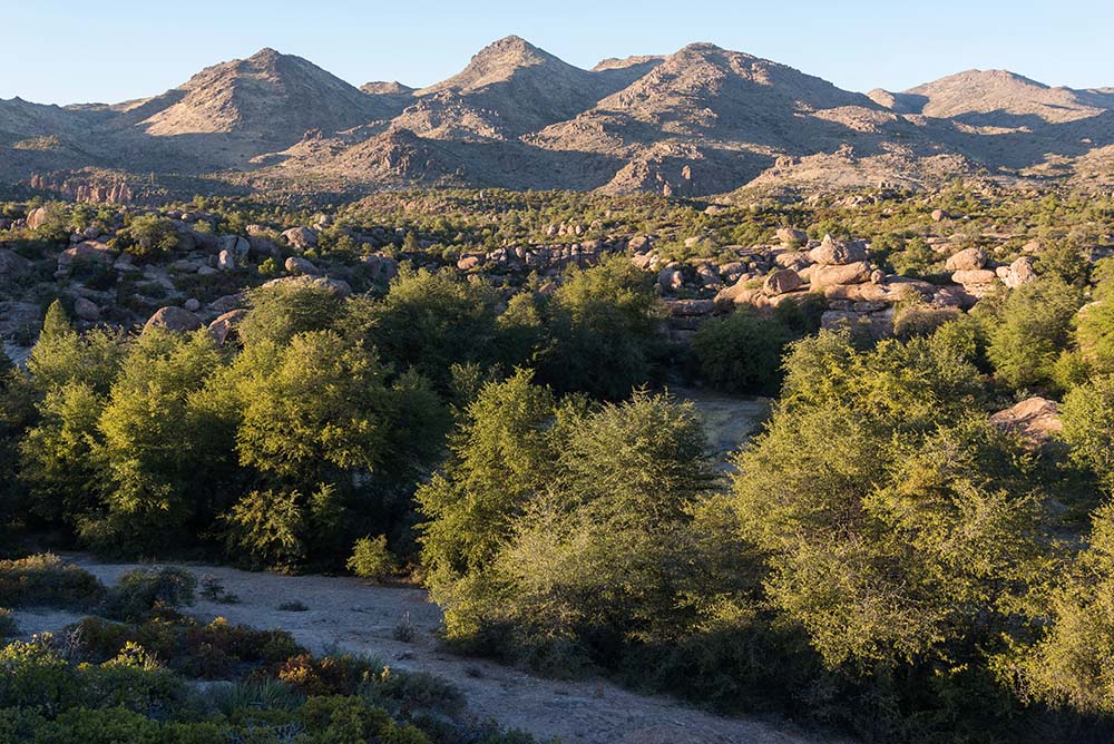 A view of Oak Flat in the Tonto National Forest in Arizona (Wikimedia Commons/Elias Butler) A view of Oak Flat in the Tonto National Forest in Arizona (Wikimedia Commons/Elias Butler)