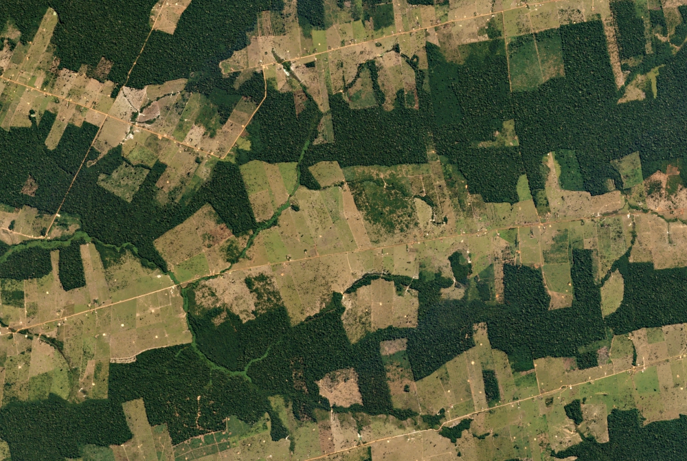 A 2016 satellite photo shows farms and pastureland carving their way into the tropical forest in the western Brazilian state of Rondônia. The state is one of the Amazon’s most deforested regions. (Wikimedia Commons/Planet Labs Inc.) A 2016 satellite photo shows farms and pastureland carving their way into the tropical forest in the western Brazilian state of Rondônia. The state is one of the Amazon’s most deforested regions. (Wikimedia Commons/Planet Labs Inc.)