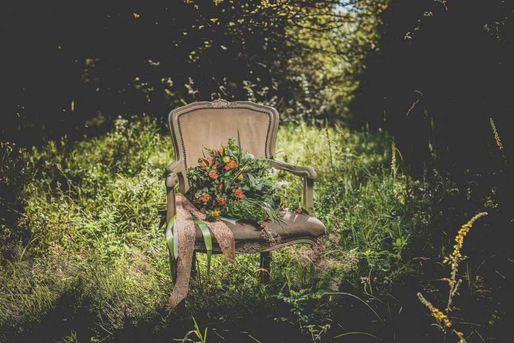 chair in woods chair in woods