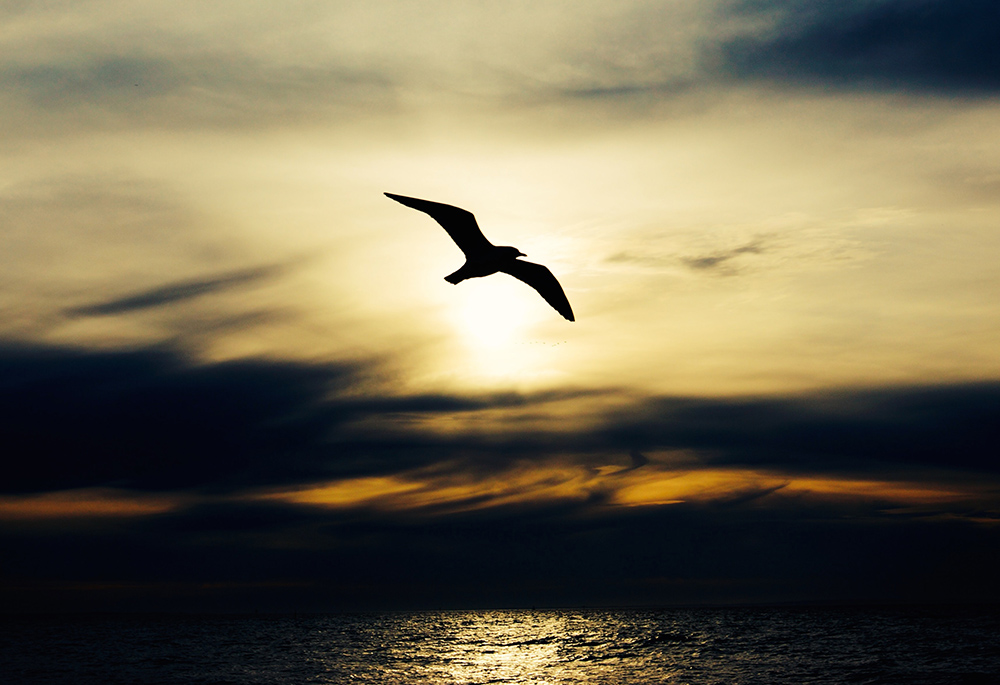 (Unsplash/Alex Wigan) (Unsplash/Alex Wigan)