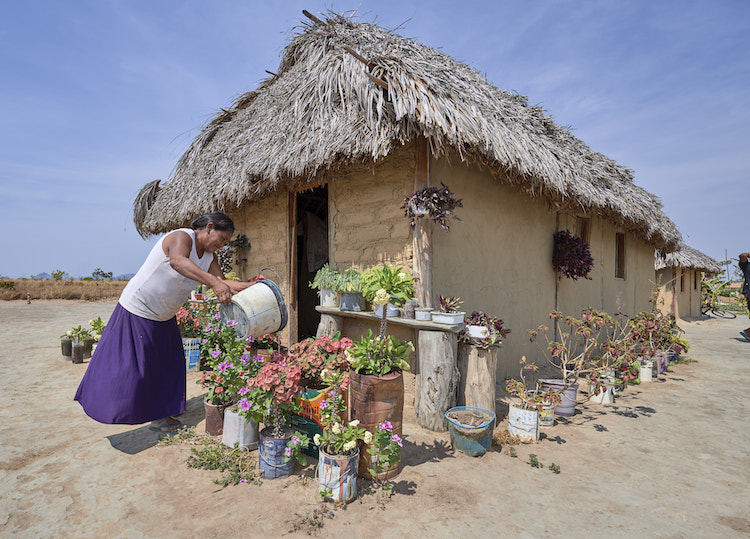 Celestina Fernandes da Silva, a Catholic activist, waters flowers in front of her home in the Wapishana indigenous village of Tabalascada, Brazil, April 3, 2019. (CNS/Paul Jeffrey) Celestina Fernandes da Silva, a Catholic activist, waters flowers in front of her home in the Wapishana indigenous village of Tabalascada, Brazil, April 3, 2019. (CNS/Paul Jeffrey)