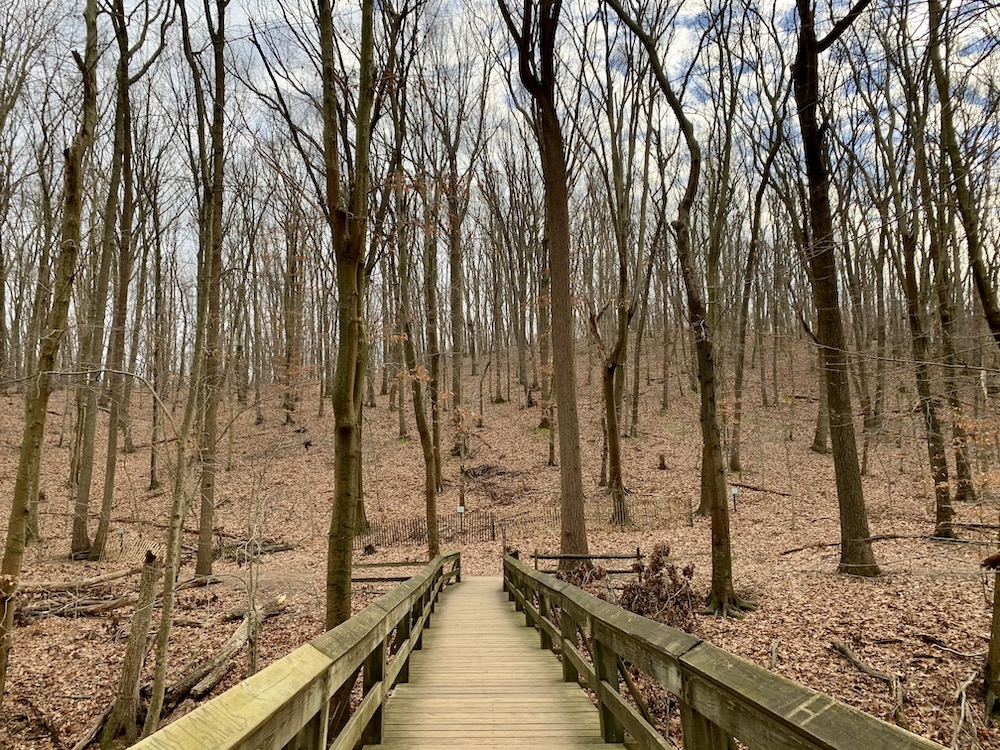 One of my favorite ways to spend my time in 2020 was hiking. This local trail is part of the amazing Monmouth County Park system. (Maddie Thompson) One of my favorite ways to spend my time in 2020 was hiking. This local trail is part of the amazing Monmouth County Park system. (Maddie Thompson)