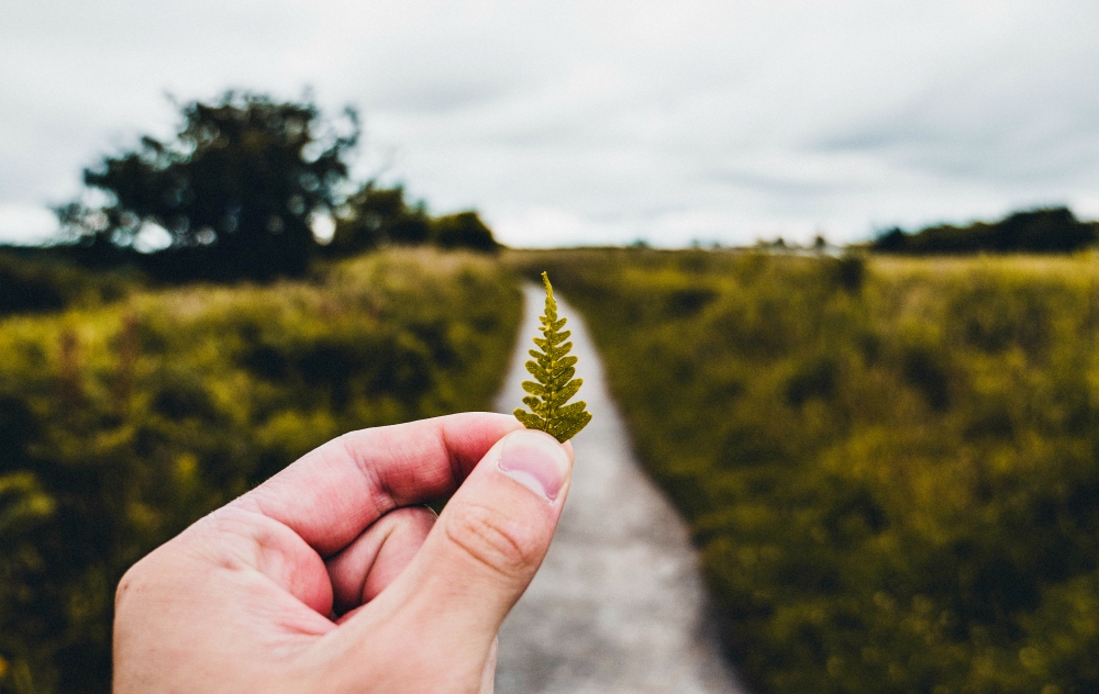 Reconnect with the natural world (Unsplash/Luke Porter) Reconnect with the natural world (Unsplash/Luke Porter)