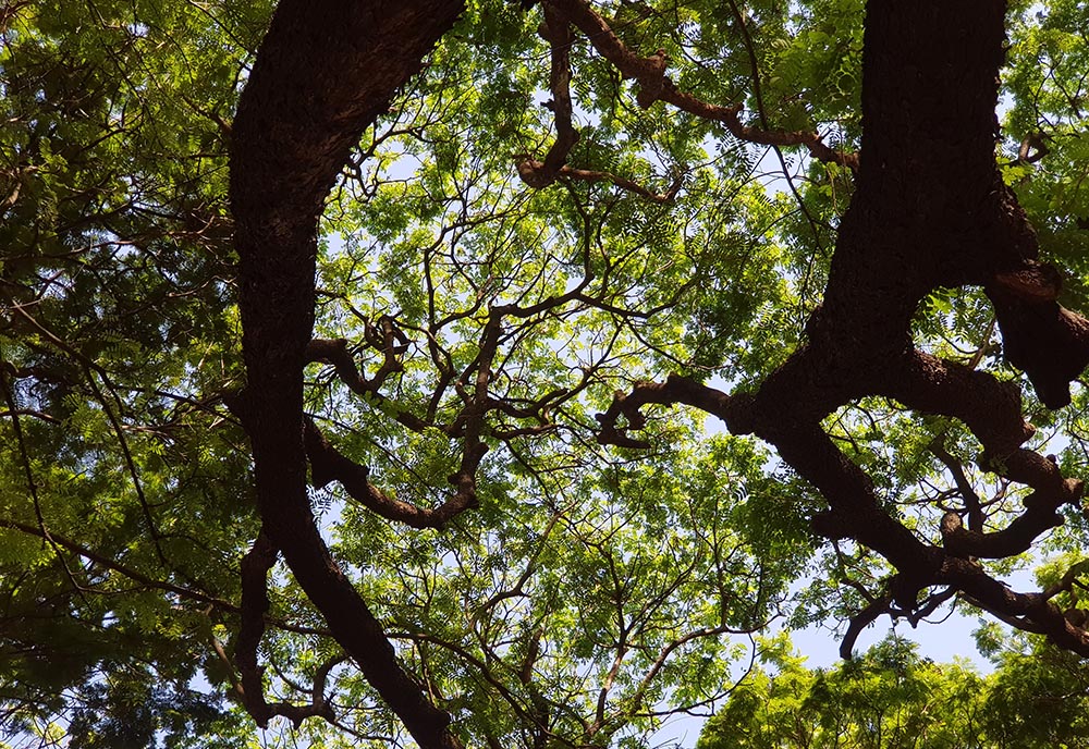 (Unsplash/Namrata Gholap) (Unsplash/Namrata Gholap)