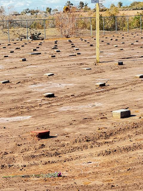 A handful of carnations that sisters threw over a fence Feb. 7 fell near bricks that serve as tombstones in a field where anonymous migrants are buried at Terrace Park Cemetery in Holtville, California. (GSR photo/Rhina Guidos)