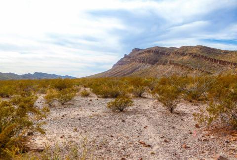 Desierto de Coahuila, México En la aridez del desierto de Coahuila, México, y ante el desafío del suministro de agua para todos, recordamos las palabras del papa Francisco en Laudato Si': "La humanidad aún posee la capacidad de colaborar para construir nuestra casa común". (Foto: Unsplash/Priss Enri)