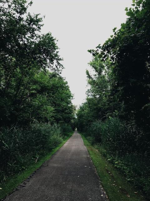 Photo illustration of a paved path (Unsplash/Morgan Von Gunten)