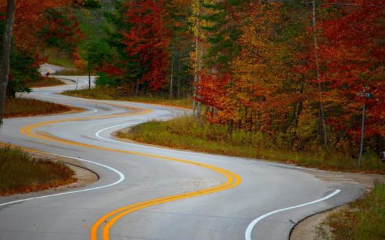 A paved winding splits a forest in which the leaves are changing colors