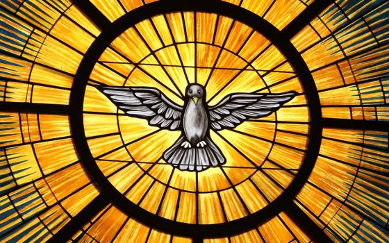 The Holy Spirit, traditionally depicted as a dove, is pictured in a stained-glass window at St. John Vianney Church in Lithia Springs, Georgia. The feast of Pentecost, marking the descent of the Holy Spirit upon the apostles, is May 24 this year. (CNS/Georgia Bulletin/Michael Alexander)