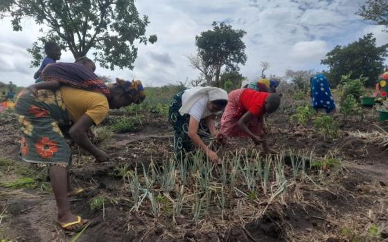 Augustinian Sr. Ediltrudis Clemente Chinchay works with female farmers in Nampula, Mozambique on sustainable farming method projects. She and Augustinian Sr. Aurora Jacinto run the Biodiversity and Agricultural Program, founded in Nampula in 2022 to support and educate female farmers. (Tawanda Karombo)