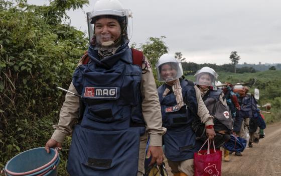 Mining Advisory Group