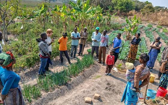 The Congregation of the Sacred Hearts of Jesus and Mary administer and raise funding for the Inclusive Development Program, which spearheads environmental protection and climate change mitigation in Zambia. (Courtesy of Congregation of the Sacred Hearts of Jesus and Mary)